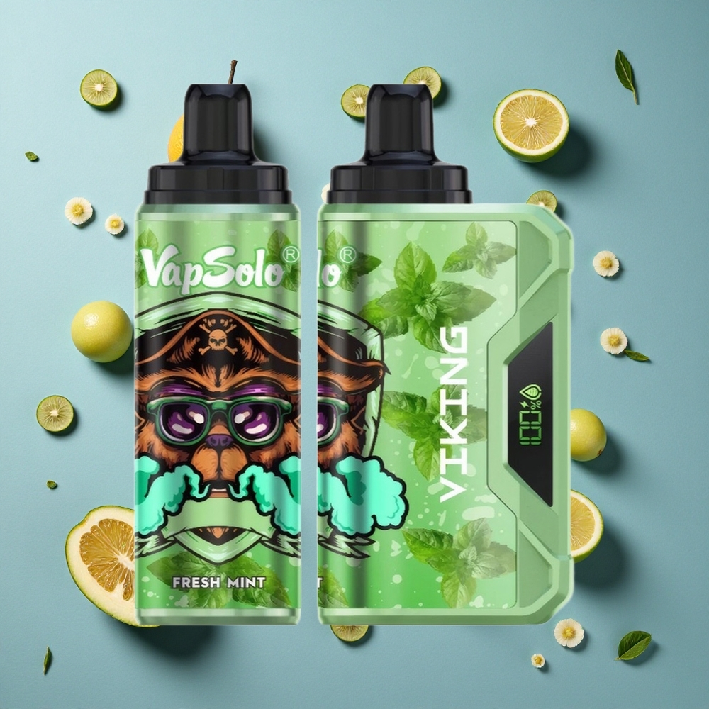 VapSolo VIKING 12000 Puffs ডিসপোজেবল ভেপ তাজা পুদিনা (22ml ই-লিকুইড, Type-C চার্জিং)