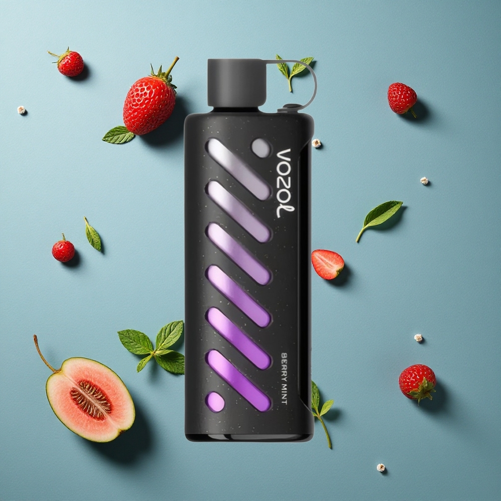 VOZOL Gear Shisha 25000 Puffs ডিস্পোজেবল ভেপ বেরি মিন্ট, ৩০ স্বাদ, ১০০০mAh ব্যাটারি
