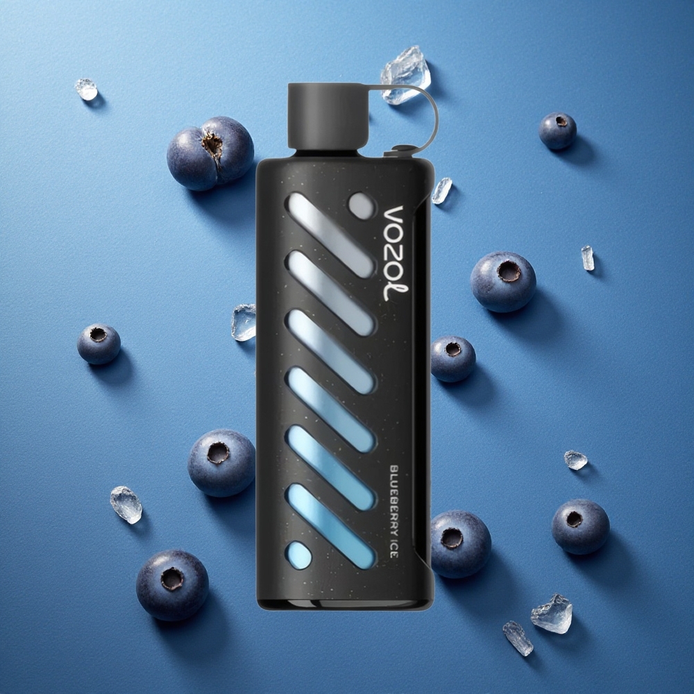 VOZOL Gear Shisha 25000 Puffs ডিসপোজেবল ভেপ ব্লুবেরি আইস, ১০০০mAh ব্যাটারি