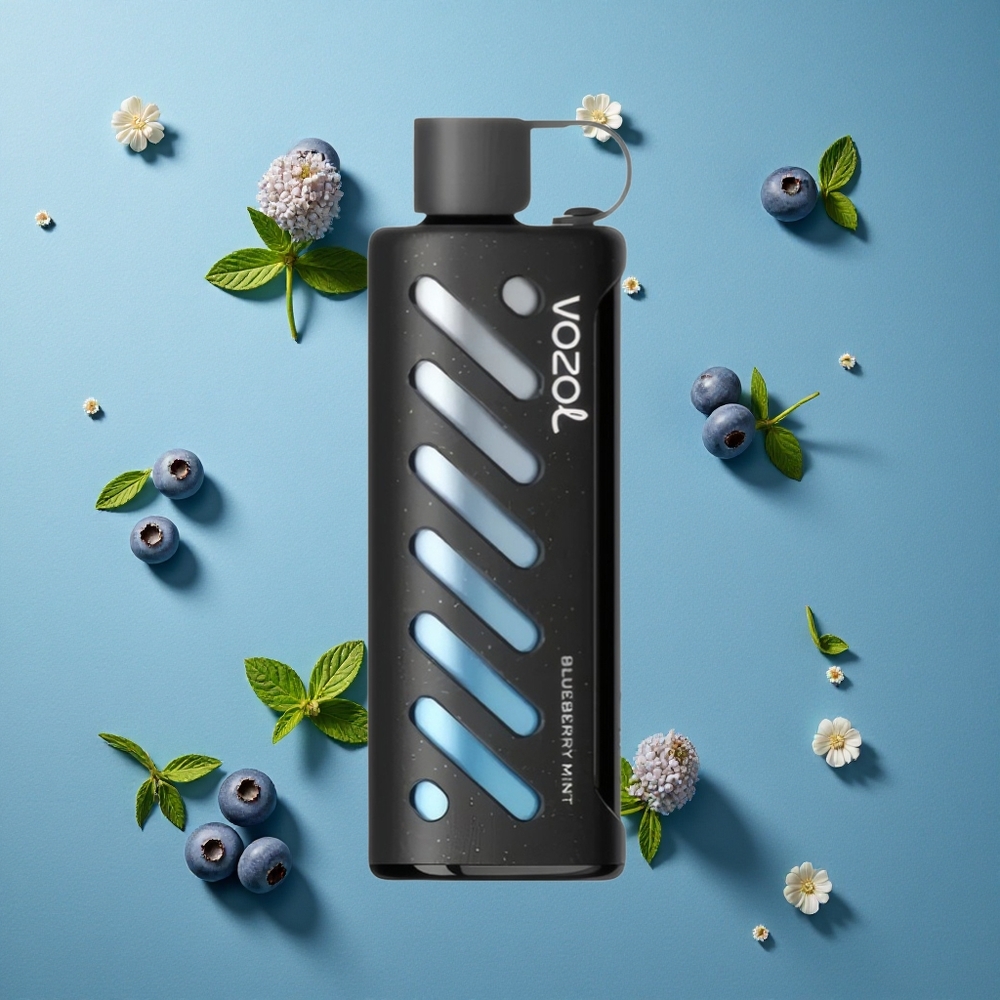 VOZOL Gear Shisha 25000 Puffs ডিসপোজেভল ভেপ ব্লুবেরি মিন্ট এবং ১০০০mAh ব্যাটারি