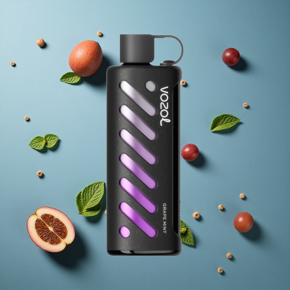 VOZOL Gear Shisha 25000 Puffs ডিসপোজেবল ভেপ আঙ্গুর পুদিনা, ১০০০mAh ব্যাটারি