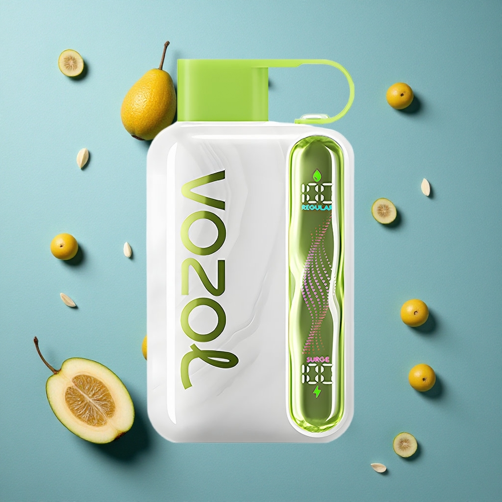 VOZOL STAR 40000 Puffs ডিসপোজেবল ভ্যাপ ঠাণ্ডা পুদিনা (1000mAh, Type-C)