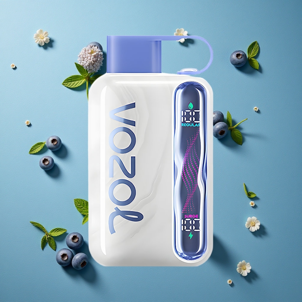 VOZOL STAR 40000 Puffs ডিসপোজেবল ভ্যাপ ব্লুবেরি মিন্ট ১০০০mAh ব্যাটারি