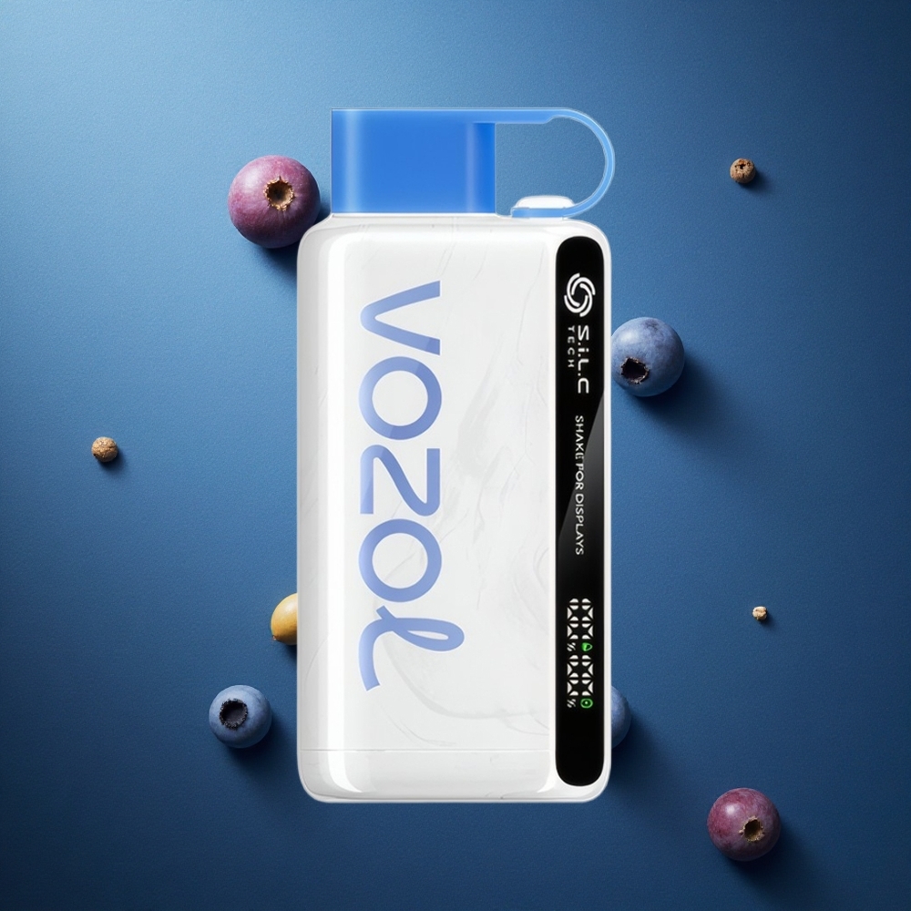 VOZOL STAR 9000/12000 ডিসপোজেবল ভেপ ব্লুবেরি স্টর্ম ৩০% দ্রুত চার্জ, ৯০০০/১২০০০ পাফস