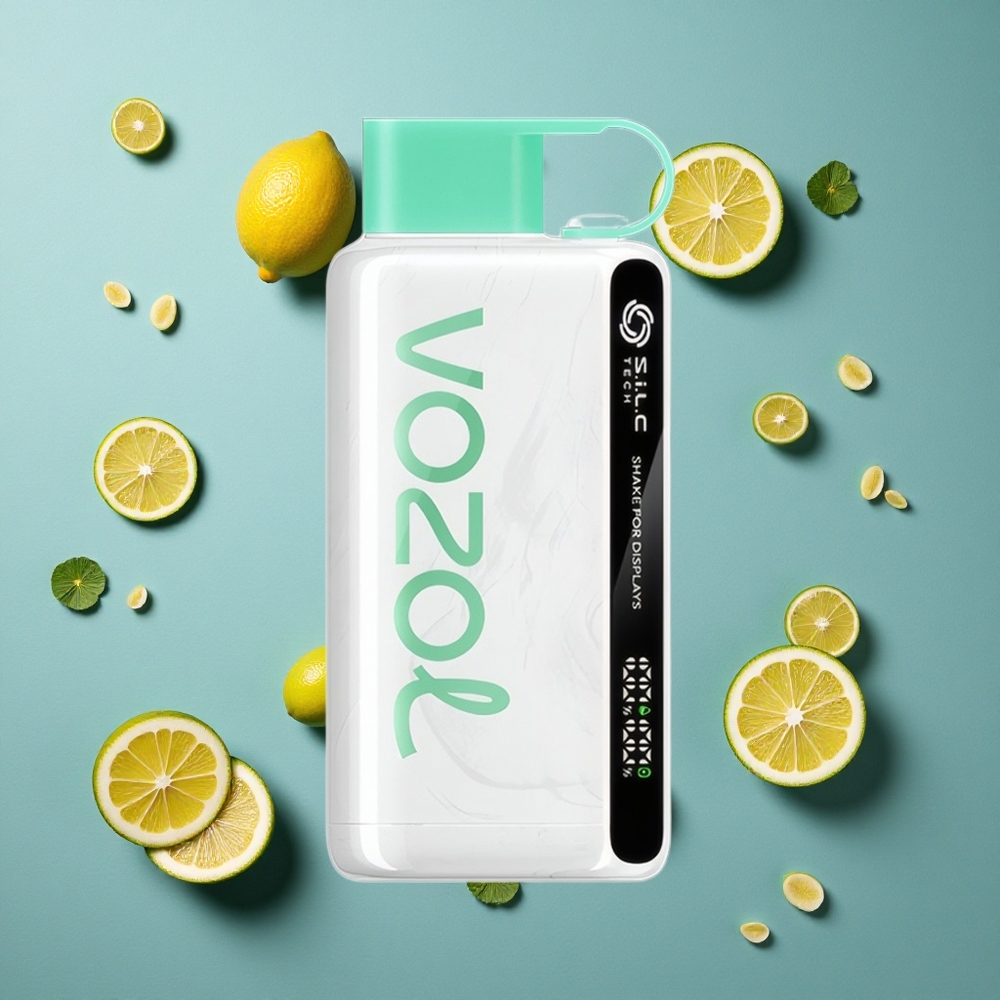 VOZOL STAR 9000/12000 ডিসপোজেবল ভেপ লেবু পুদিনা শেক ফর ডিসপ্লে, ৯০০০/১২০০০ পাফস