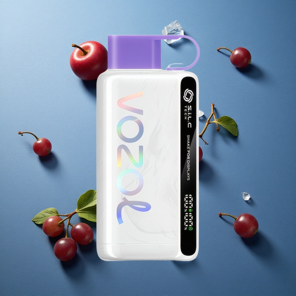 VOZOL STAR 9000/12000 ডিসপোজেবল ভেপ আঙুর বরফ ৯০০০/১২০০০ পাফস ৬৫০mAh ব্যাটারি