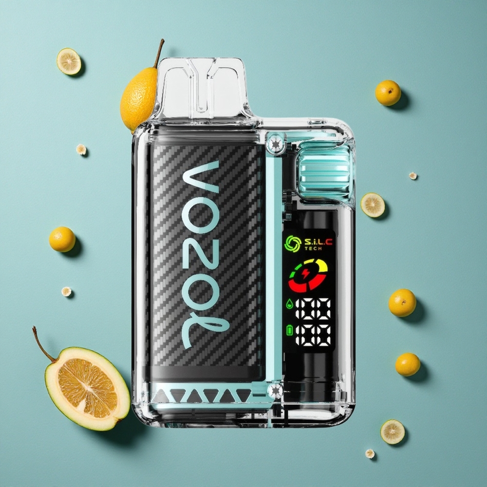VOZOL Vista 20000 Puffs ডিসপোজেবল ভেপ মিয়ামি পুদিনা, 650mAh রিচার্জেবল ব্যাটারি, 2% নিকোটিন